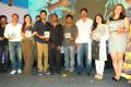 Gunde Jaari Gallanthayyinde Audio Release Function Stills