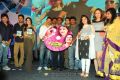 Gunde Jaari Gallanthayyinde Audio Release Function Stills