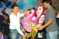 Gunde Jaari Gallanthayyinde Audio Launch Stills