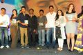 Gunde Jaari Gallanthayyinde Audio Launch Photos