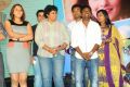 Gunde Jaari Gallanthayyinde Audio Launch Stills