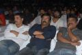 Gunde Jaari Gallanthayyinde Audio Release Function Stills