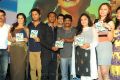 Gunde Jaari Gallanthayyinde Audio Release Stills