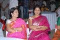 DK Aruna, Nirmala Devi at Gundello Godari Movie Audio Launch photos