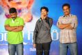 Gundello Godari Movie Audio Release Function Gallery