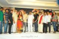 Gundello Godari Platinum Disc Function Photos