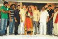 Gundello Godari Platinum Disc Function Photos