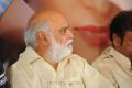 K Raghavendra Rao at Gundello Godari Platinum Disc Function Photos