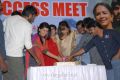 Gundello Godari Movie Success Meet Stills