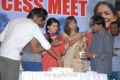 Telugu Movie Gundello Godari Movie Success Meet Stills