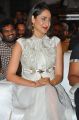 Pragya Jaiswal @ Gunturodu Audio Release Stills