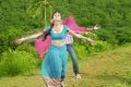 Ridhima Tiwari in Hai Haiga Movie Hot Stills