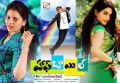 Half Boil Telugu Movie Hot Wallpapers