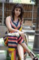 Telugu Actress Hamida Khatoon Hot Stills