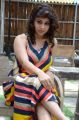 Telugu Actress Hameeda Khatoon Hot Stills