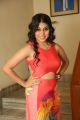 Actress Hameeda Hot Pics @ Bhadram Be Careful Brotheru Audio Release