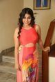 Actress Hamida Hot Pics @ Bhadram Be Careful Brotheru Audio Release