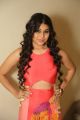 Actress Hameeda Hot Pics @ Bhadram Be Careful Brotheru Audio Release