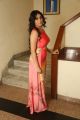 Actress Hamida Hot Pics @ Bhadram Be Careful Brotheru Audio Release