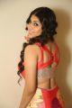 Actress Hamida Hot Pics @ Bhadram Be Careful Brotheru Audio Release