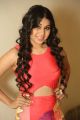 Actress Hamida Hot Pics @ Bhadram Be Careful Brotheru Audio Release