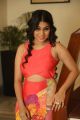 Actress Hameeda Hot Pics @ Bhadram Be Careful Brotheru Audio Release