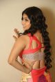 Actress Hameeda Hot Pics @ Bhadram Be Careful Brotheru Audio Release