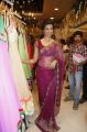 Hamsa Nandini Hot Saree Stills @ Kalamandir Store Opening