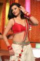 Loukyam Actress Hamsa Nandini Hot Stills on the Sets