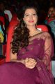 Actress Hamsa Nandini Pics @ Bengal Tiger Audio Launch