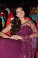 Actress Hamsa Nandini @ Bengal Tiger Movie Audio Launch