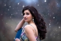 Actress Hamsa Nandini Recent Photoshoot Images