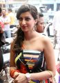 Hamsa Nandini New Stills