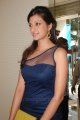 Hamsa Nandini Photo Shoot Stills