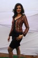 Hamsa Nandini Photoshoot Gallery