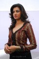 Hamsa Nandini Photoshoot Gallery