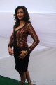 Hamsa Nandini Photoshoot Gallery