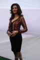 Hamsa Nandini Photoshoot Gallery