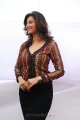 Hamsa Nandini Photoshoot Gallery