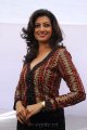 Hamsa Nandini Photoshoot Gallery