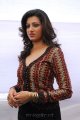 Hamsa Nandini Photoshoot Gallery