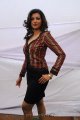 Hamsa Nandini Photoshoot Gallery