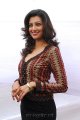 Hamsa Nandini Photoshoot Gallery