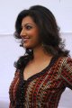 Hamsa Nandini Photoshoot Gallery