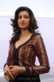 Hamsa Nandini Photoshoot Gallery