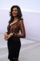 Hamsa Nandini Photoshoot Gallery