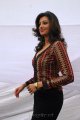 Hamsa Nandini Photoshoot Gallery