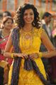 Actress Hamsa Nandini Pics in Srirastu Subhamastu Movie