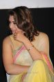 Actress Hansika New Saree Photos @ Aambala Audio Launch