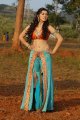 Hansika Motwani Hot Spicy Stills